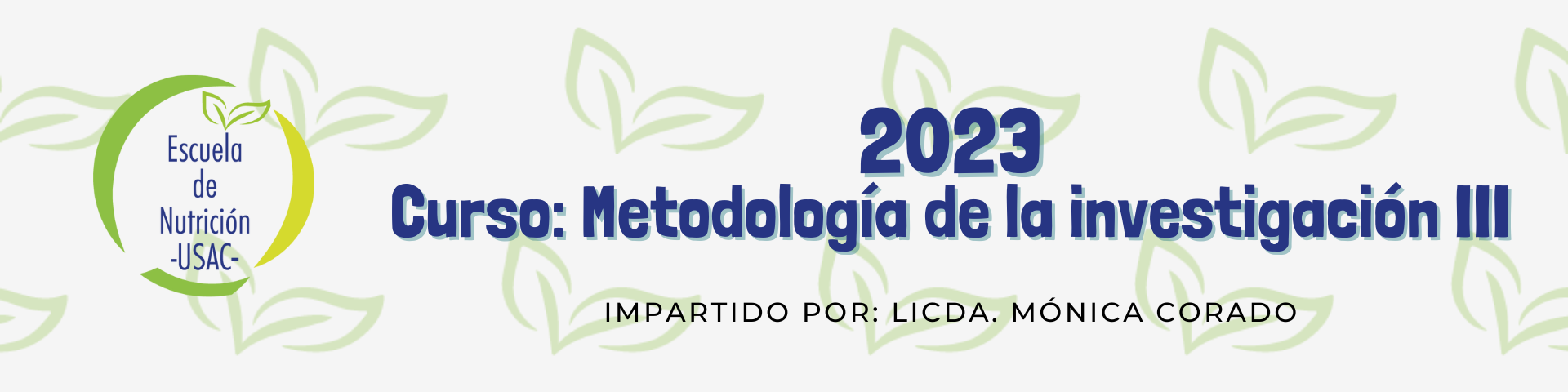 2023 - Título curso Metodología de la investigación III